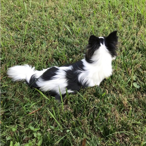 Meet your Posher, Mary - Picture 7 of 16